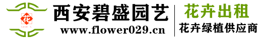 1676983927237319.png