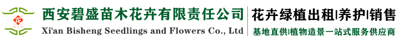 西安碧盛苗木花卉有限责任公司
