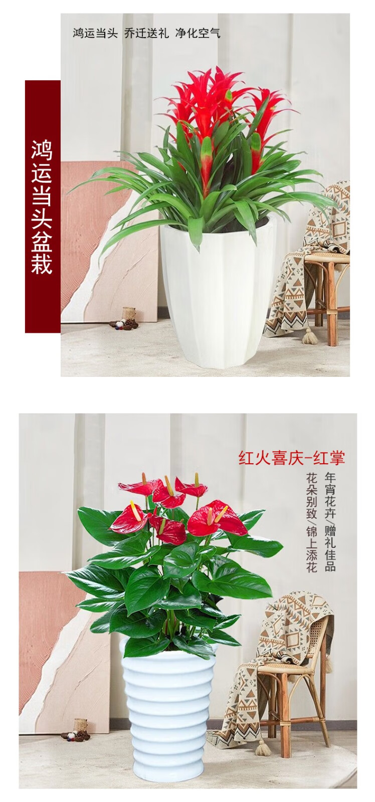 eace5d5798a1b1fc.jpg
