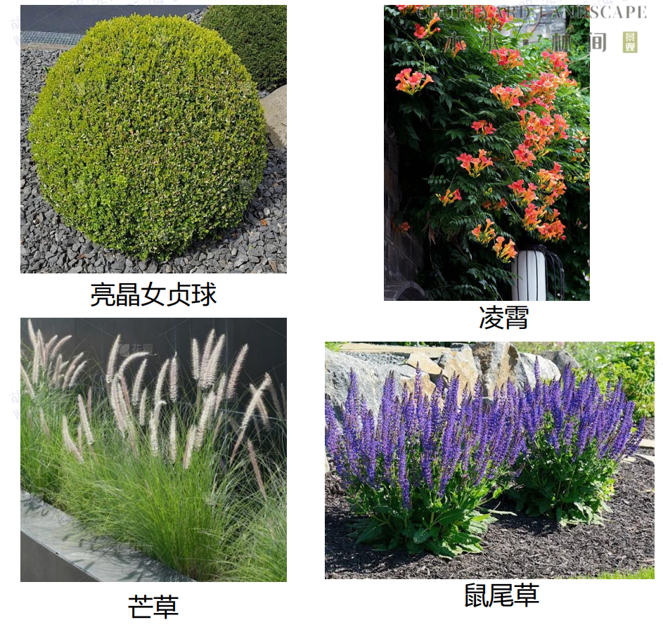 1745325042353366.png image.png